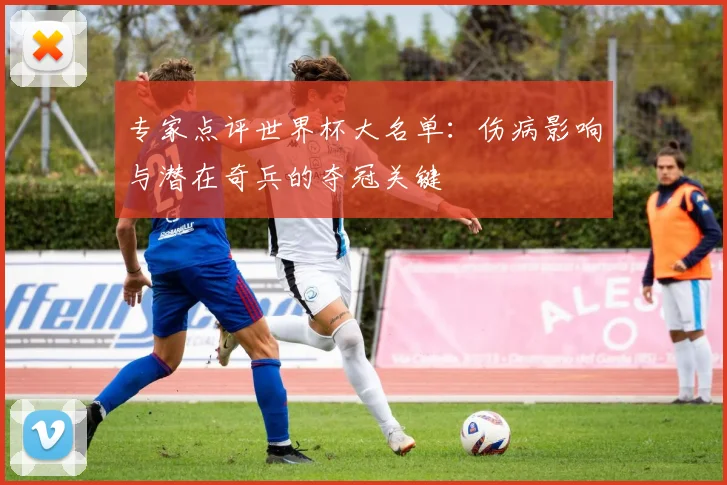专家点评世界杯大名单：伤病影响与潜在奇兵的夺冠关键